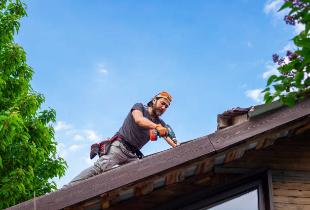 Best Roof Maintenance and Cleaning  in Camp Barrett, VA